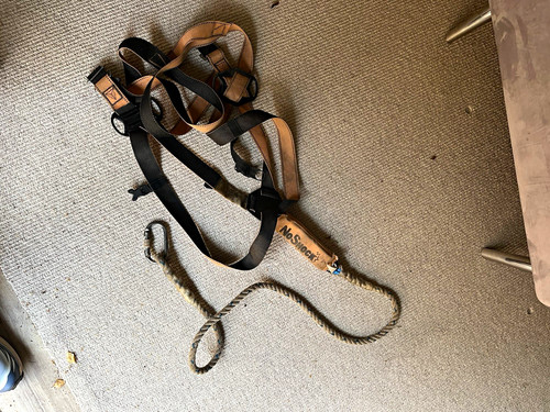 Noshock safety harness with - harness,