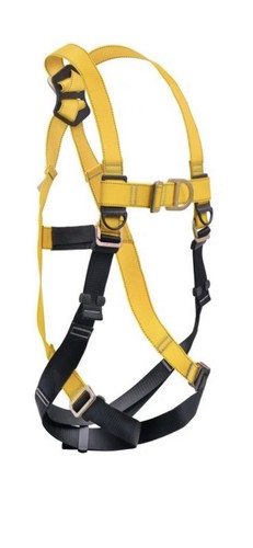 Guardian point safety - guardian,