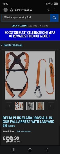 Safety harness