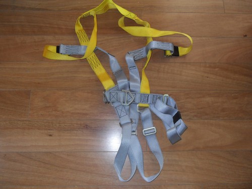 Pammenter and petrie safety - and,