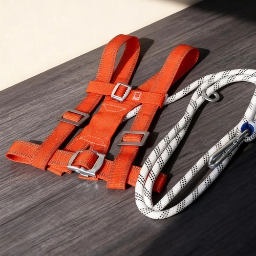Adjustable full body - body, safety