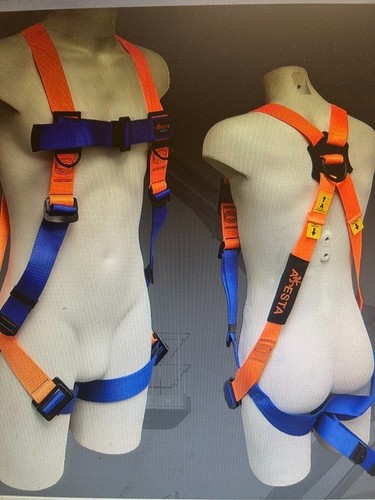 Aresta single point safety - single,